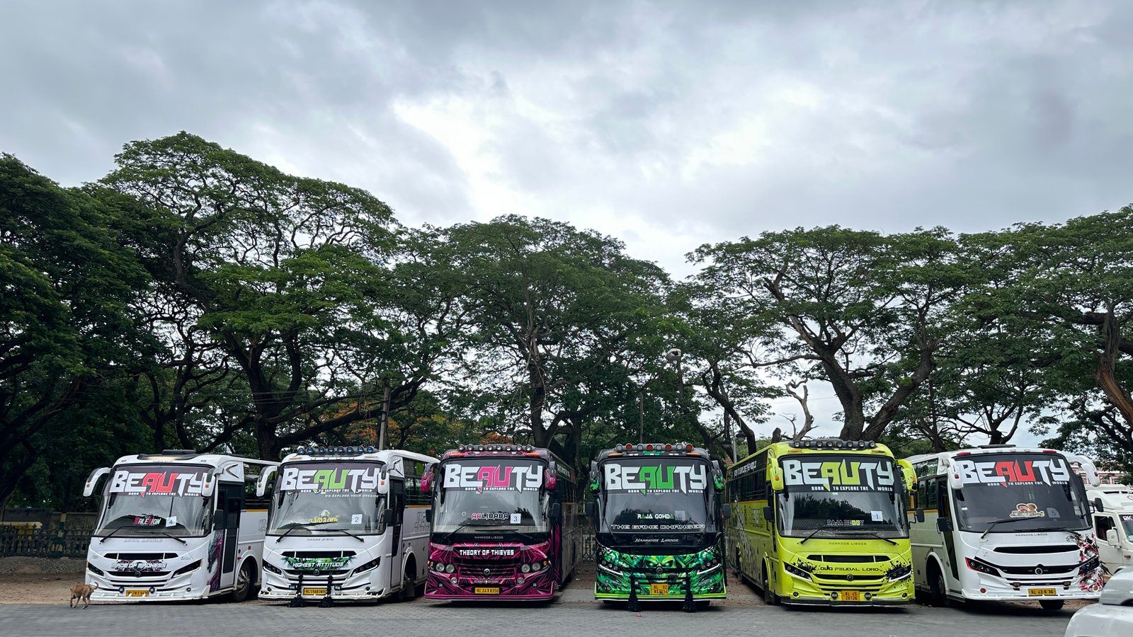 Beauty Holidays fleet lineup